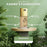 Kashees Eventone High-Coverage Foundation